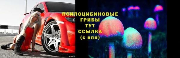тгк Нефтекумск