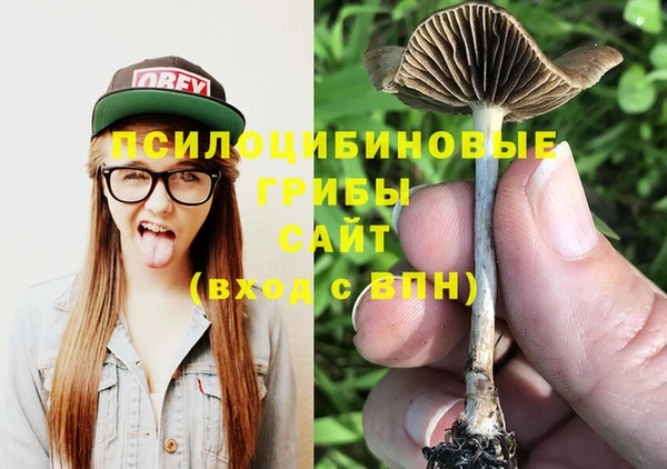 мет Нефтегорск