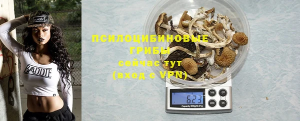 тгк Нефтекумск