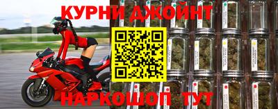 дурь Кингисепп