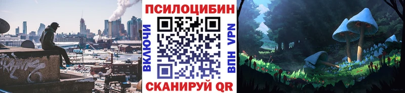 гидра ONION  как найти закладки  Орск  Галлюциногенные грибы Psilocybe 